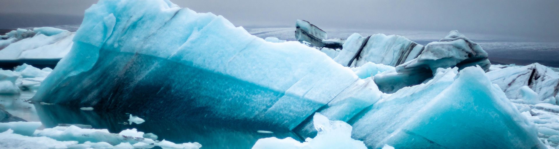 climate-change vision of eco aura online